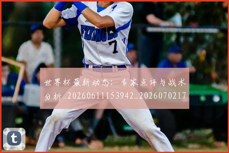 世界杯最新动态:专家点评与战术分析_20260611153942_20260702173911
