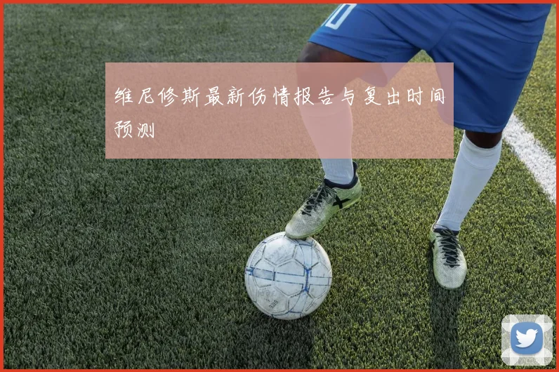 维尼修斯最新伤情报告与复出时间预测