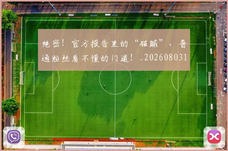绝密!官方报告里的“猫腻”,普通粉丝看不懂的门道!_20260803142833