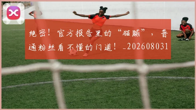 绝密！官方报告里的“猫腻”，普通粉丝看不懂的门道！_20260803142833