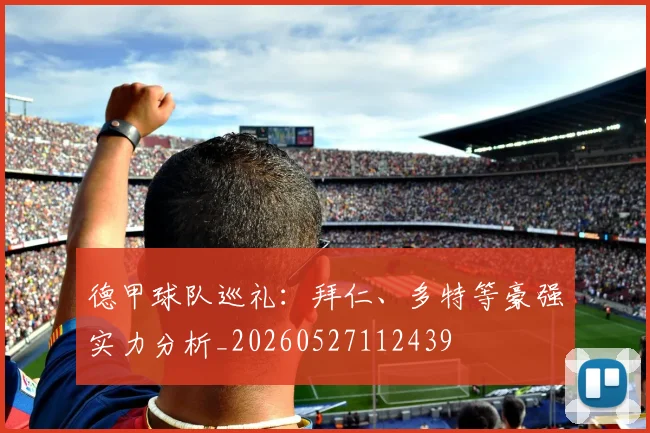 德甲球队巡礼：拜仁、多特等豪强实力分析_20260527112439