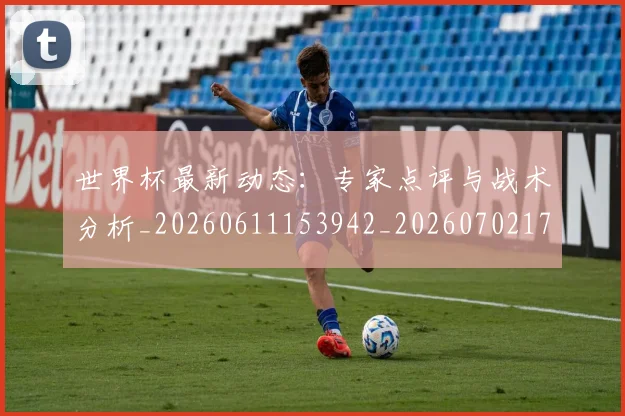 世界杯最新动态:专家点评与战术分析_20260611153942_20260702173911
