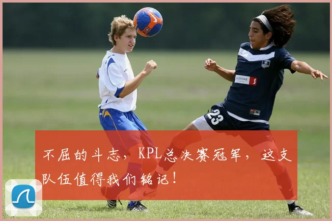 不屈的斗志，KPL总决赛冠军，这支队伍值得我们铭记！